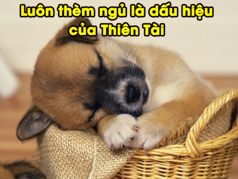 cramschool_name_test_1　川崎京町教室のコピー1 Test111のコピーのコピー