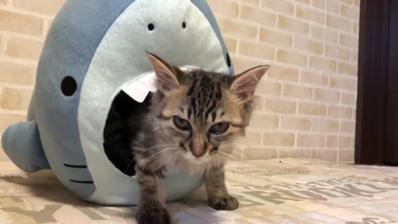 name_cramschool_3　Name_classroom_3